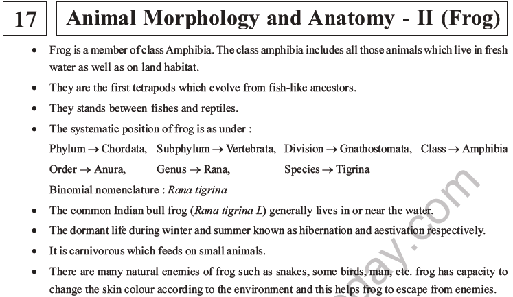 NEET Biology Animal Morphology And Anatomy MCQs Set B, Multiple Choice ...